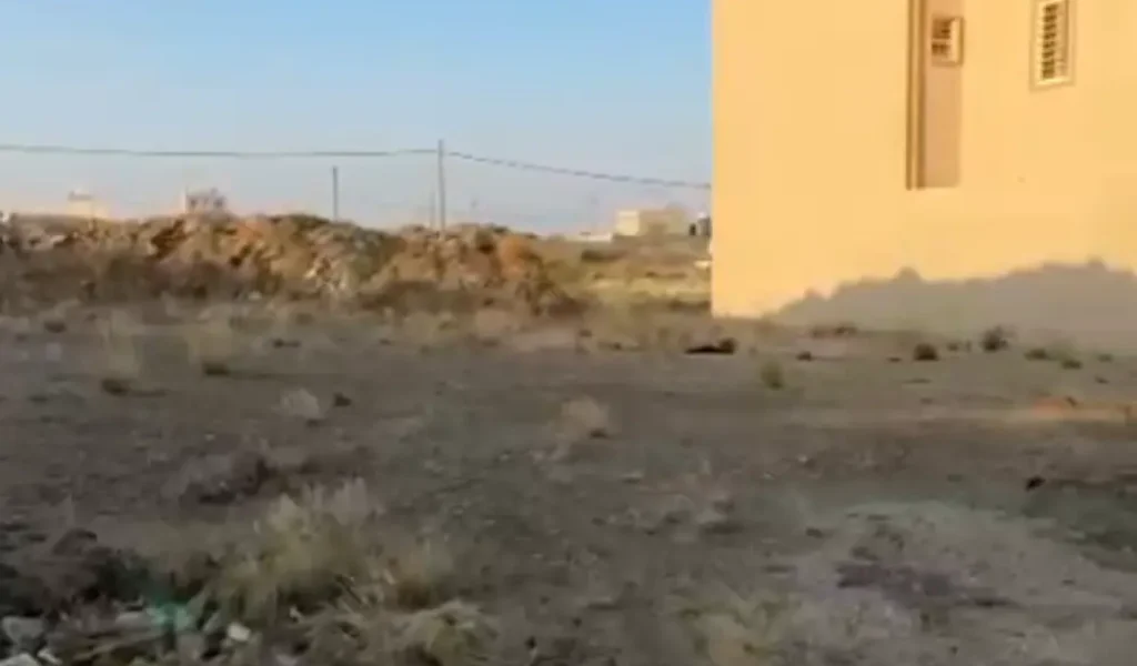 Screenshot 2025-12-31 175248 (1)